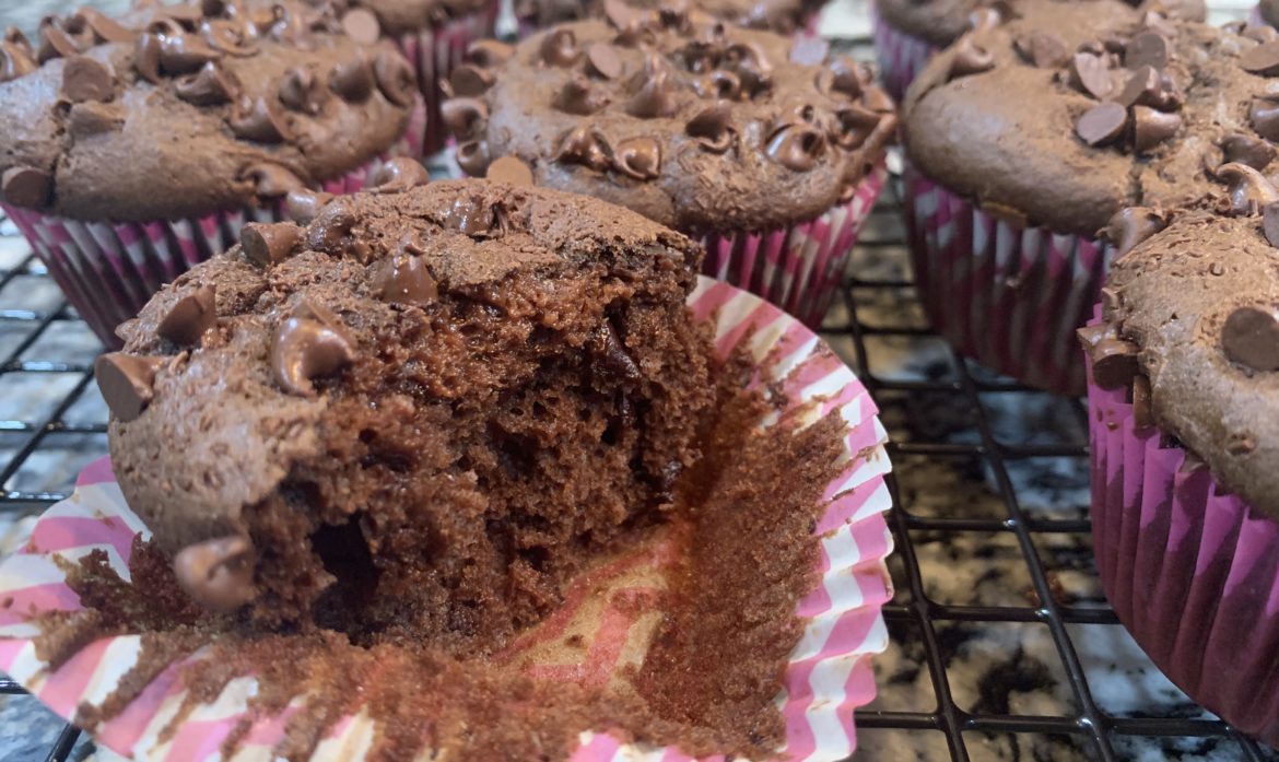 Double Chocolate Muffin Recipe