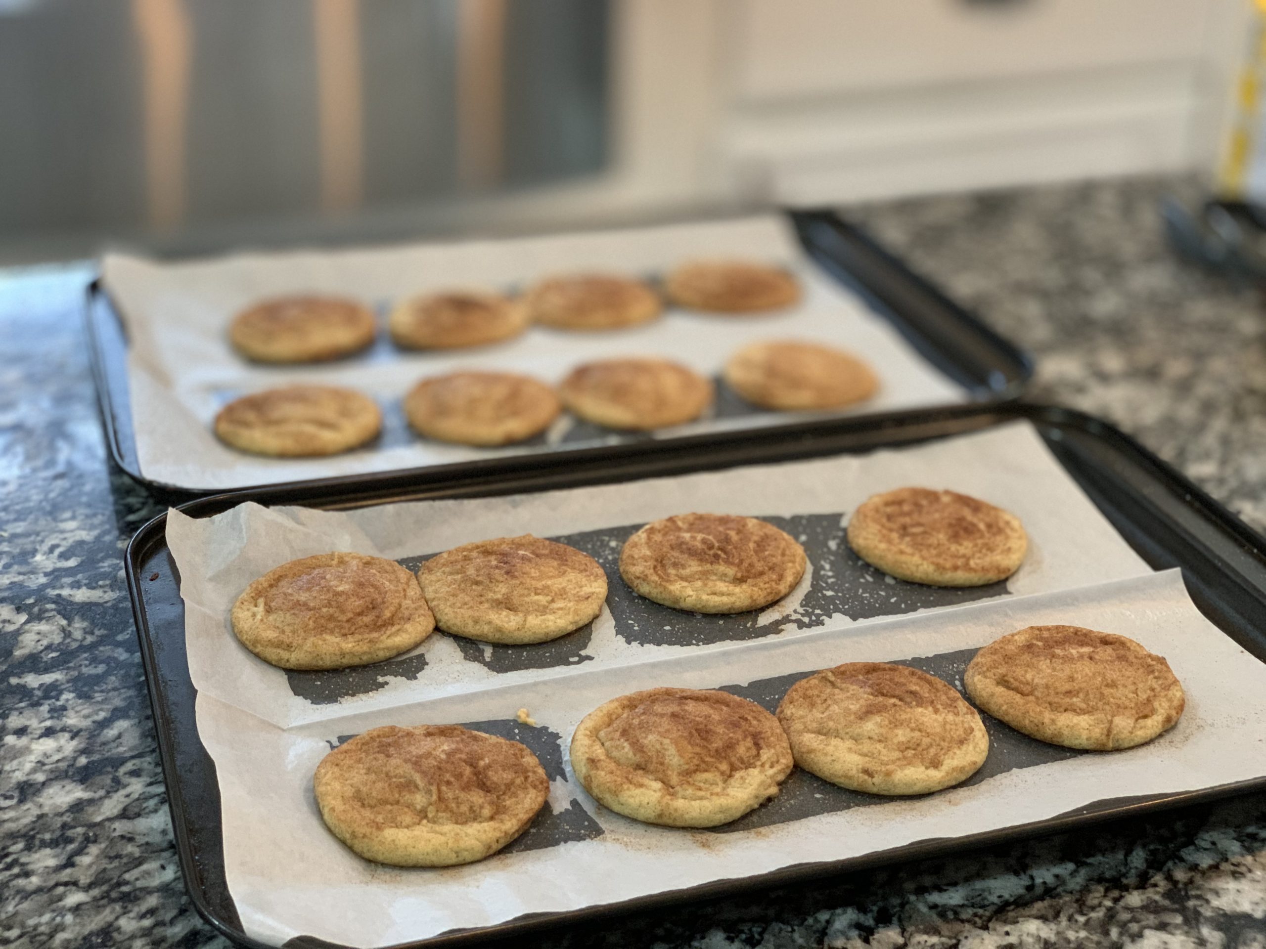 Best Snickerdoodle Cookie Recipe